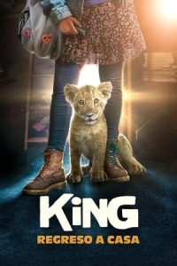 King, mi pequeño rey [Spanish]